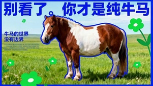 纯牛马马