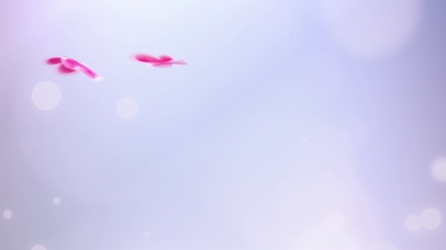 浪漫简约粉色蝴蝶情定七夕