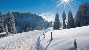 唯美治愈雪景