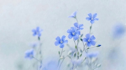 护眼花草树木