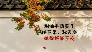 秋天墙角树叶