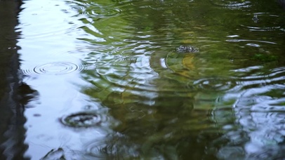 下雨天的水波