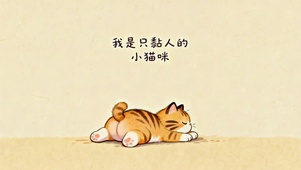 粘人小猫咪