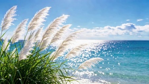 风之絮·海之镜