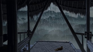 村庄小猫看暴雨