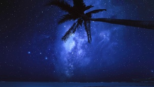 海边椰树星空