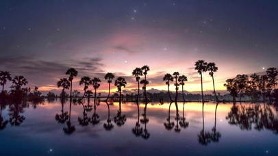 夜景壁纸