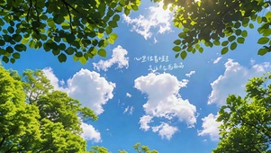 让星星住进心里
