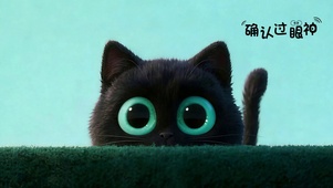 偷瞄的黑猫
