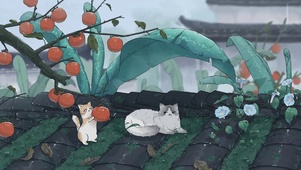 江南毛毛雨