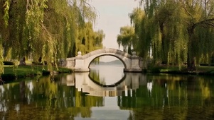 园林公园小桥风景石桥
