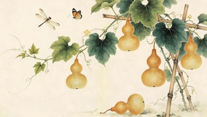 护眼小清新