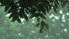 热门下雨桌面壁纸图片 热门动态壁纸下载 元气壁纸第 D String 动态 页 Extra Int 2 热门下雨桌面壁纸图片 热门动态壁纸下载 元气壁纸第 D String 动态 页 Extra Int 2