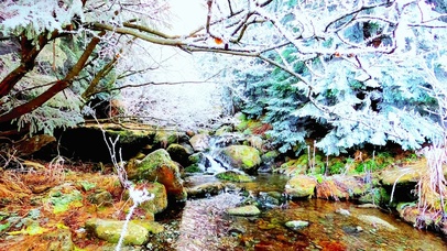 唯美雪景溪流4K