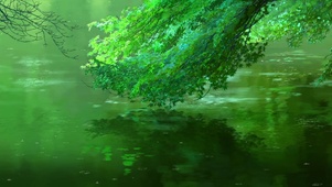 新海诚超清4K