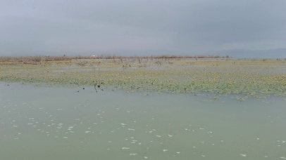 青山绿水