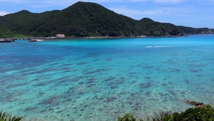 4K 碧水蓝天下的船港