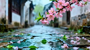 4K唯美桃花小雨