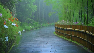 雨天小道