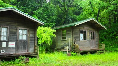 雨天绿树林木屋