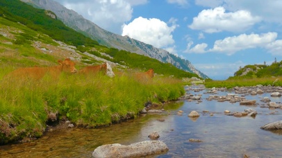 养眼蓝天白云小溪