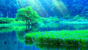 平淡湖面
