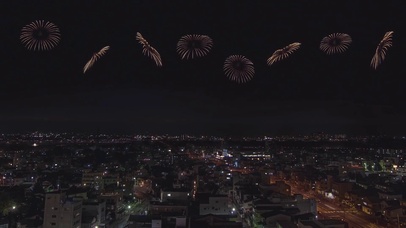 美丽的城市 烟花齐放
