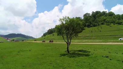 4k绿色关山草原