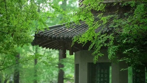 隐居