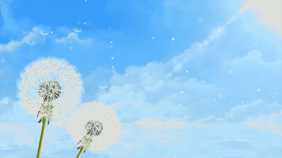 蓝天蒲公英