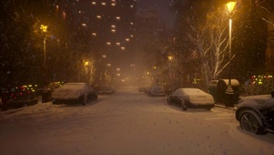 大雪新年夜 