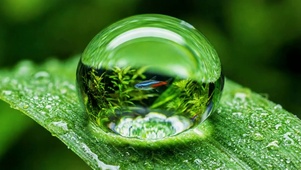 一水一世界