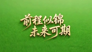 前程似锦