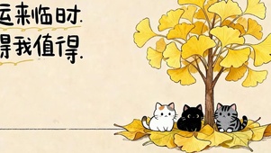 可爱猫咪双屏
