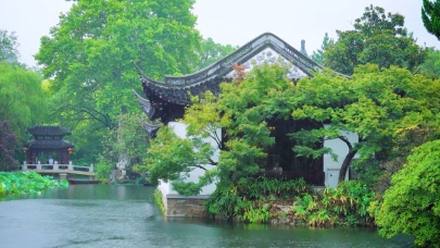 梅雨时节雨壁纸图片 动态桌面壁纸图片 动态壁纸下载 元气壁纸