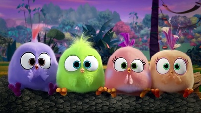 愤怒的小鸟 玩游戏超可爱壁纸