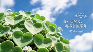 治愈心叶物语