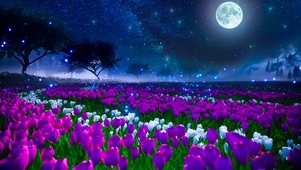 月光下花海