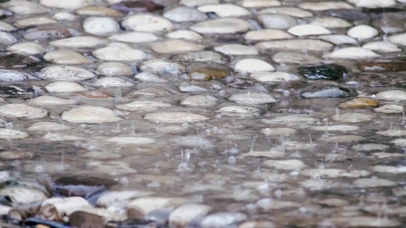 下雨【2K 工作白噪音】