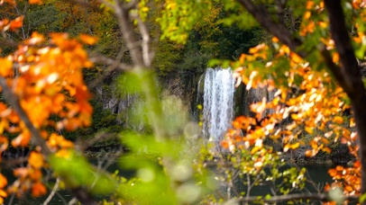 透过秋林看瀑布