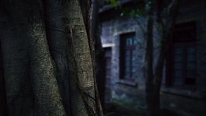 4K老旧意境破屋空