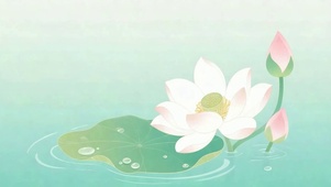 夏天荷花