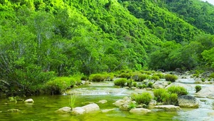 绿林山涧河流