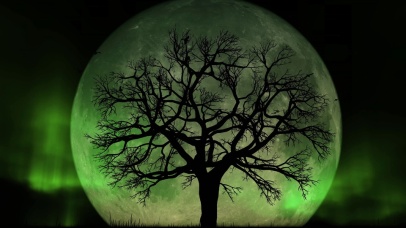 4K满月下的枯树（极光版）~