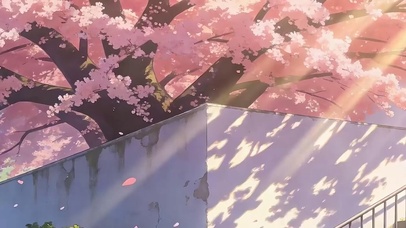 樱花树木带鱼屏