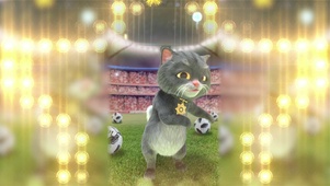 斑布猫-OLE!OLE!