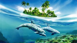 岛屿海豚