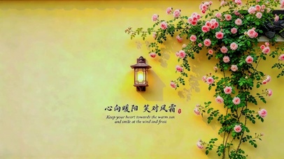 心向暖阳，笑对风霜