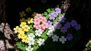 做无名小花做快乐小狗