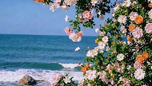 一起去看海吧